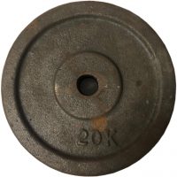 DISCO 20KG COMUN CRUDO